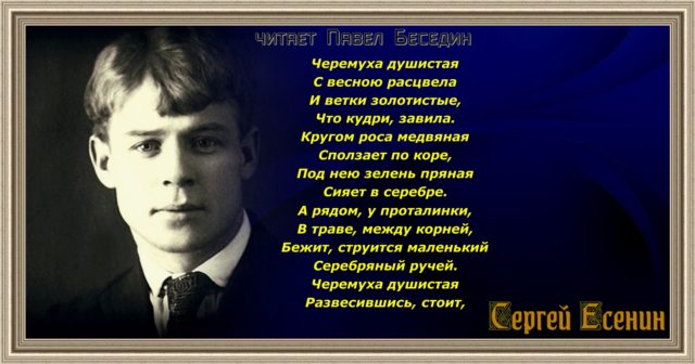 черёмуха СЕРГЕЙ ЕСЕНИН СТИХОТВОРЕНИЯ В ИСПОЛНЕНИИ ПАВЛА БЕСЕДИНА