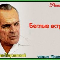 беглые встречи константин паустовский рассказы детям