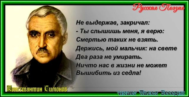 сын артилириста симонов читает павел беседин