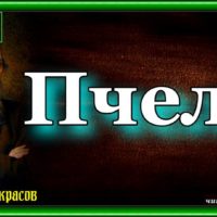Пчелы. Николай Некрасов читает Павел Беседин