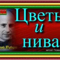 Цветы и нива. николай рубцов