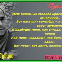 журавли николай рубцов стихотворение читает павел беседин
