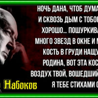 К Родине — Владимир Набоков— Русская Поэзия —читает Павел Беседин