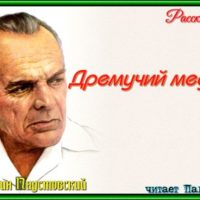Дремучий медведь константин паустовский рассказы детям1