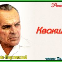 Квакша константин паустовский рассказы детям читает Павел Беседин