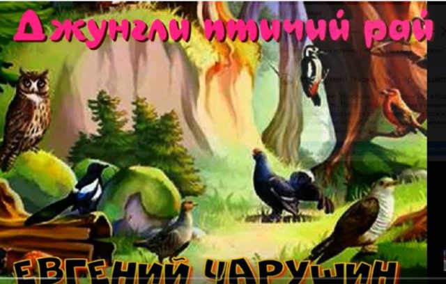 Джунгли” – птичий рай—Евгений Чарушин..