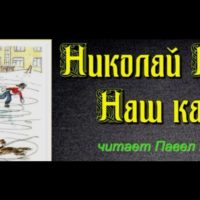 Наш каток— Николай Носов— читает Павел Беседин
