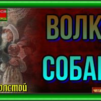 Волк и собака —Лев Толстой — читает Павел Беседин