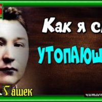 Как я спас утопающего , Ярослав Гашек